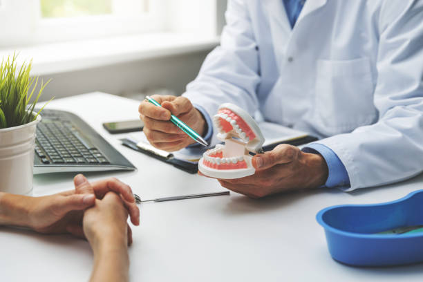 Trusted Rising Sun, MD Holistic Dental Care Services Experts